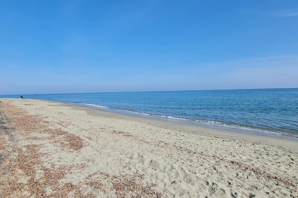 Magnifique Avec Piscine En Bord De